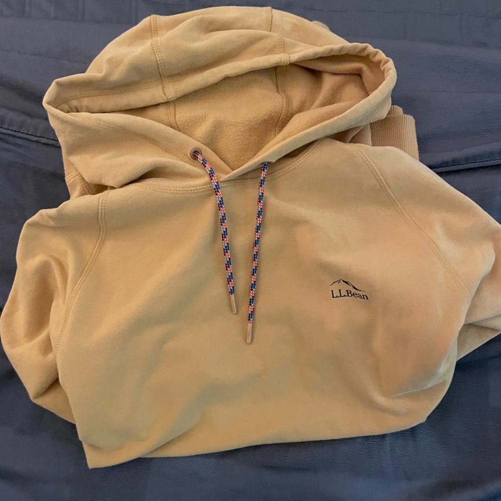 L.L. Bean Men's Camp Hoodie Graphic